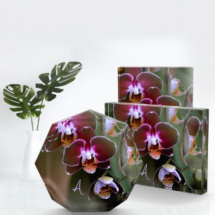Bloc Photo Orchidées violettes Botanique Monogramme