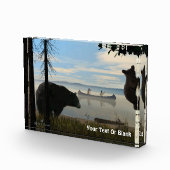 Bloc Photo Ours de plage (Droite)