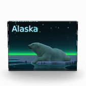 Bloc Photo Ours polaire à bord de glace (Devant)