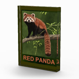 Bloc Photo Panda rouge