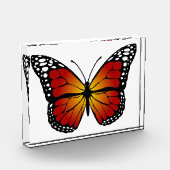 Bloc Photo Papillon (Gauche)