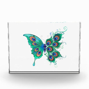 Bloc Photo Papillon aux plumes de paon vert