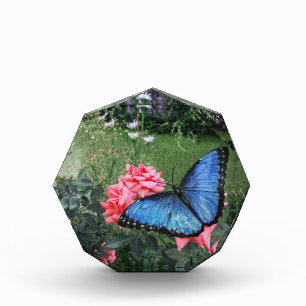 Bloc Photo Papillon bleu Morpho Insect Floral Photo