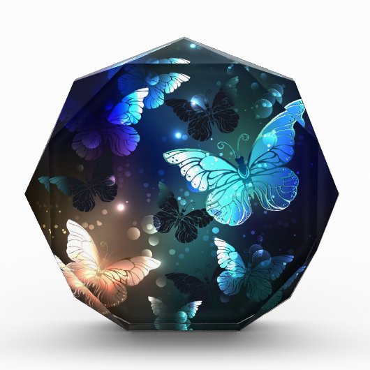 Bloc Photo Papillon de nuit (Devant)