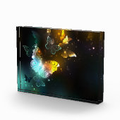 Bloc Photo Papillon lumineux et papillons de nuit (Droite)