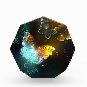 Bloc Photo Papillon lumineux et papillons de nuit