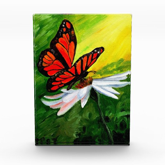 Bloc Photo Papillon monarque Majestic (Devant)