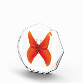 Bloc Photo Papillon rouge orange avec votre nom (Droite)