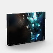 Bloc Photo Papillons de nuit (Gauche)