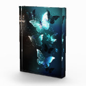 Bloc Photo Papillons de nuit (Droite)