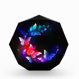 Bloc Photo Papillons de nuit Neon brillants sur arrière - pla