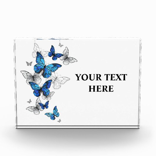 Bloc Photo Papillons volants bleus Morpho (Devant)
