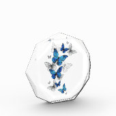 Bloc Photo Papillons volants bleus Morpho (Gauche)