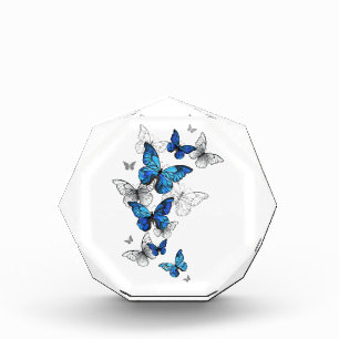 Bloc Photo Papillons volants bleus Morpho