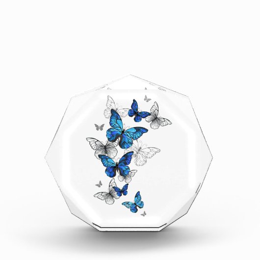 Bloc Photo Papillons volants bleus Morpho (Devant)