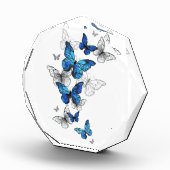 Bloc Photo Papillons volants bleus Morpho (Droite)
