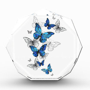 Bloc Photo Papillons volants bleus Morpho