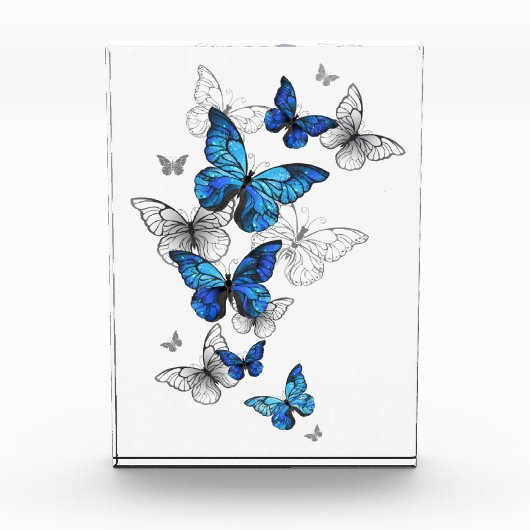 Bloc Photo Papillons volants bleus Morpho (Devant)