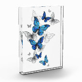 Bloc Photo Papillons volants bleus Morpho (Gauche)
