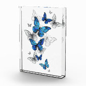 Bloc Photo Papillons volants bleus Morpho (Droite)