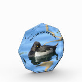 Bloc Photo Papy noir blanc canard photo réflexion Nature (Gauche)