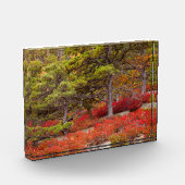 Bloc Photo Parc national de l'Acadie, Maine (Gauche)