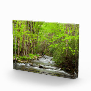 Bloc Photo Parc national des Great Smoky Mountains Caroline d