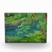 Bloc Photo Parc national olympique Washington State (Devant)