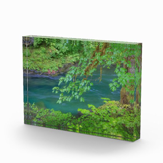 Bloc Photo Parc national olympique Washington State (Droite)