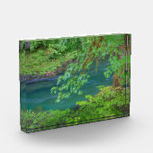 Bloc Photo Parc national olympique Washington State (Gauche)