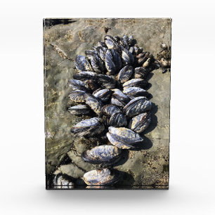 Bloc Photo Parc Rock State de Sisters