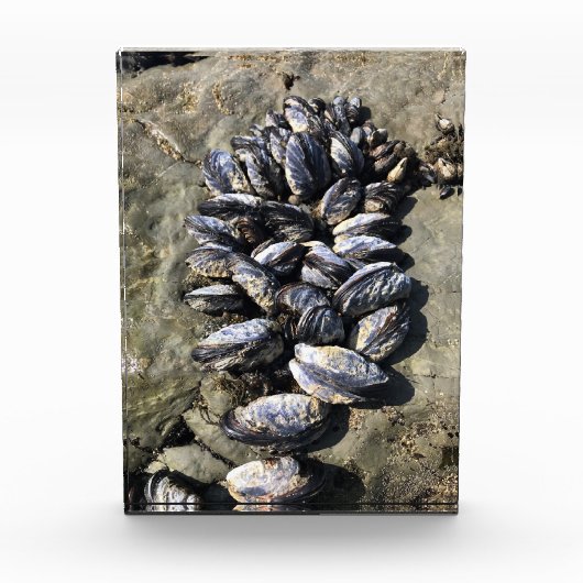 Bloc Photo Parc Rock State de Sisters (Devant)