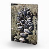 Bloc Photo Parc Rock State de Sisters (Droite)