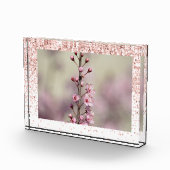 Bloc Photo Parties scintillant à étincelles roses - Photo per (Droite)