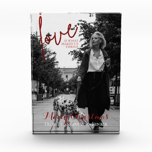 Bloc Photo Parties scintillant rouge Script élégant Photo de (Devant)