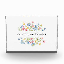 Pas de pluie, pas de fleurs |