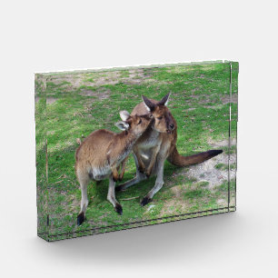 Bloc Photo Pas maintenant Skippy Photo Block