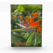 Bloc Photo Peinture à l'huile d'Oiseau du Paradis (Devant)