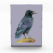 Bloc Photo Peinture d'aquarelle de corneille (Devant)