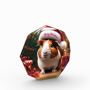 Bloc Photo "Père Noël's Little Helper : The Christmas Guinea 