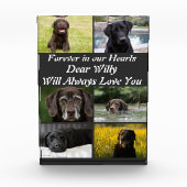 Bloc Photo Personnalisation moderne Pet Memorial 6 Photo Coll (Devant)