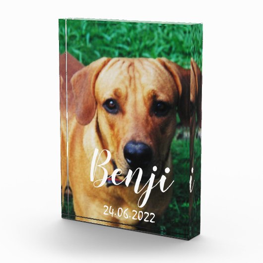 Bloc photo personnalisé en acrylique pour animal d (Droite)