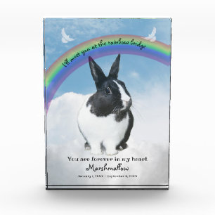 Bloc Photo Pet Memorial Keepsaké Rainbow Bridge