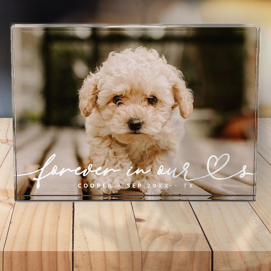Bloc Photo Pet Memorial pour tous Coeurs Simple Moderne