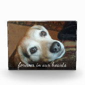Bloc Photo Photo Commémorative Pour Animaux Dans Nos Coeurs (Devant)