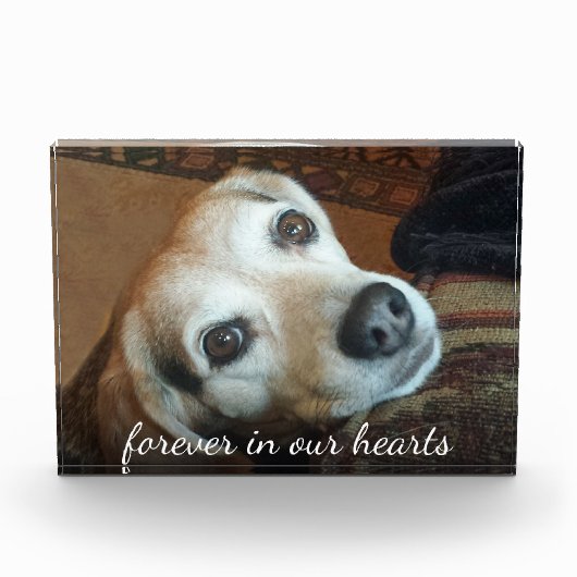 Bloc Photo Photo Commémorative Pour Animaux Dans Nos Coeurs (Devant)