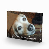 Bloc Photo Photo Commémorative Pour Animaux Dans Nos Coeurs (Droite)