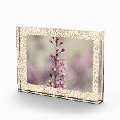 Bloc Photo Photo personnalisée de l'Empreinte de léopard d'or (Droite)