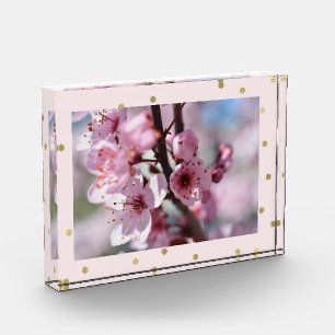 Bloc Photo Photo personnalisée par confettis roses