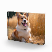 Bloc Photo Photo personnalisée pour animaux (Droite)